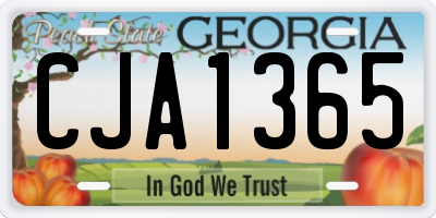 GA license plate CJA1365