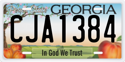 GA license plate CJA1384