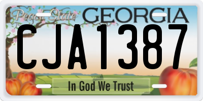 GA license plate CJA1387