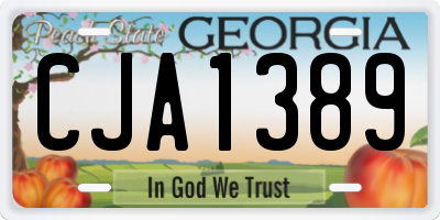 GA license plate CJA1389
