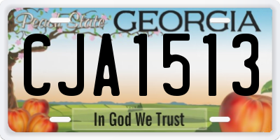 GA license plate CJA1513