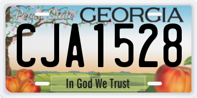 GA license plate CJA1528