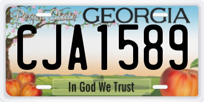 GA license plate CJA1589