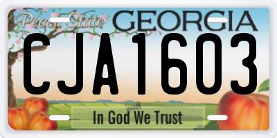 GA license plate CJA1603