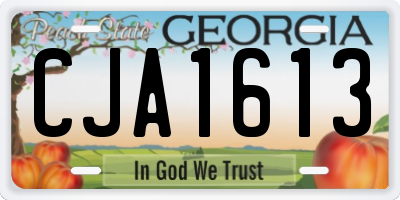 GA license plate CJA1613