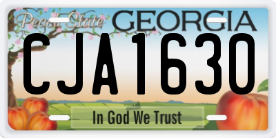 GA license plate CJA1630