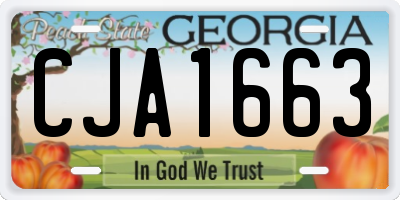 GA license plate CJA1663