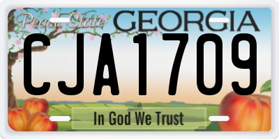 GA license plate CJA1709