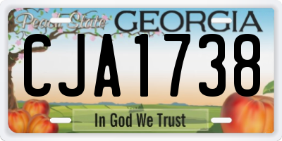 GA license plate CJA1738