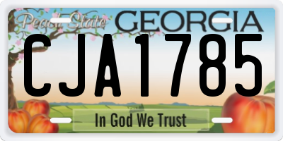 GA license plate CJA1785