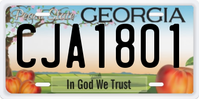GA license plate CJA1801