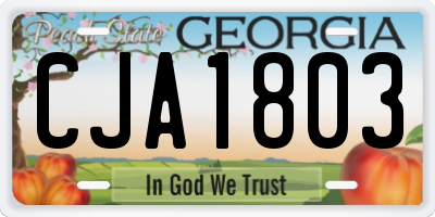 GA license plate CJA1803