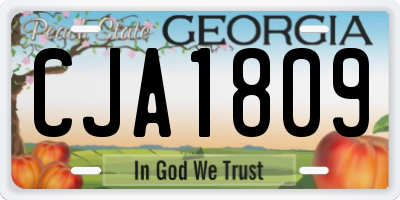GA license plate CJA1809