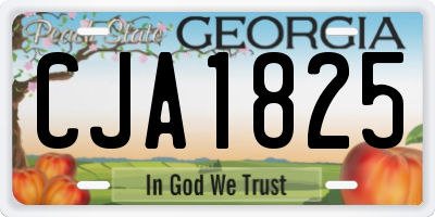 GA license plate CJA1825
