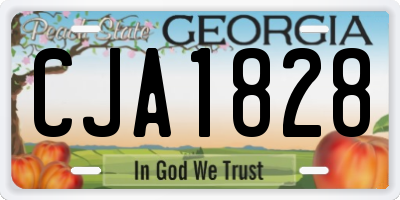 GA license plate CJA1828