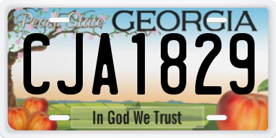 GA license plate CJA1829
