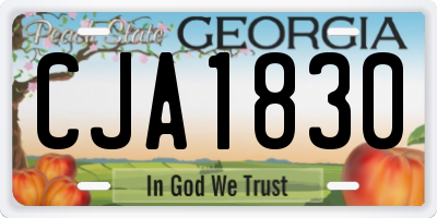 GA license plate CJA1830