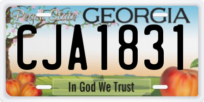 GA license plate CJA1831