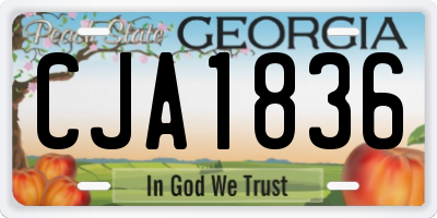 GA license plate CJA1836