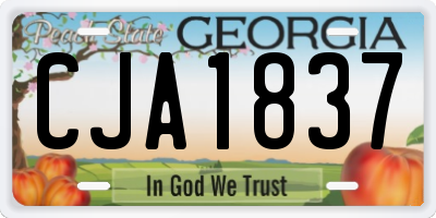 GA license plate CJA1837