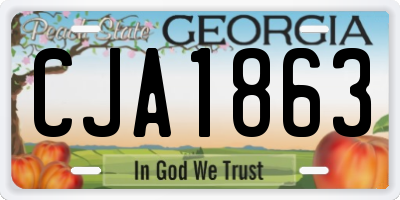 GA license plate CJA1863