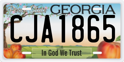 GA license plate CJA1865