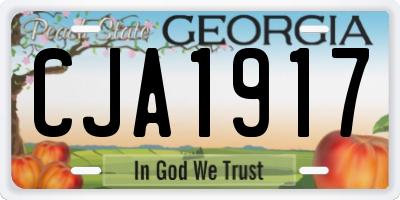 GA license plate CJA1917