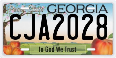 GA license plate CJA2028