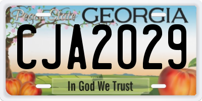 GA license plate CJA2029