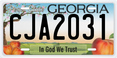 GA license plate CJA2031