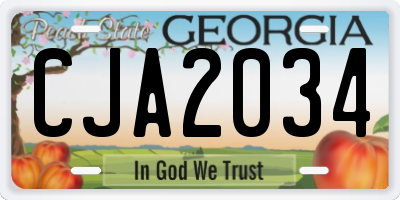 GA license plate CJA2034