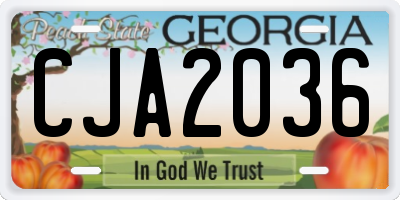 GA license plate CJA2036