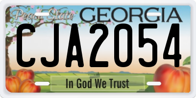 GA license plate CJA2054