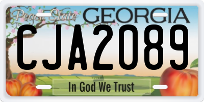 GA license plate CJA2089