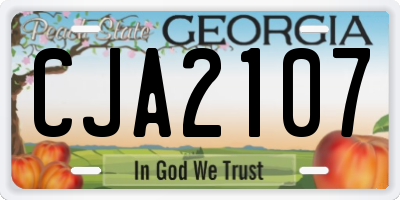 GA license plate CJA2107