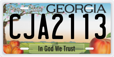 GA license plate CJA2113