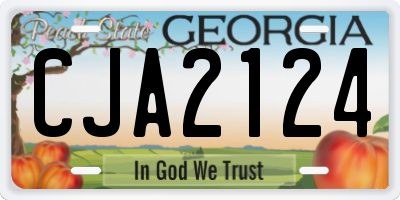 GA license plate CJA2124