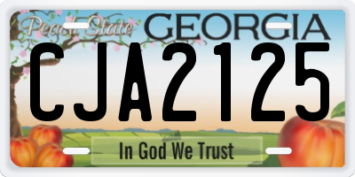 GA license plate CJA2125