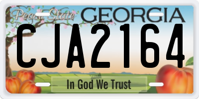 GA license plate CJA2164