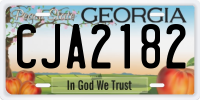 GA license plate CJA2182