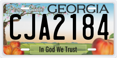 GA license plate CJA2184
