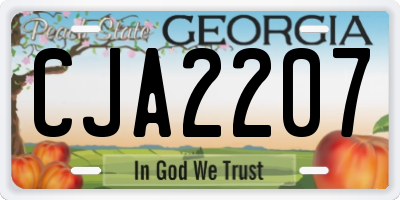 GA license plate CJA2207