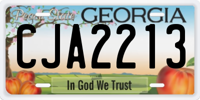 GA license plate CJA2213