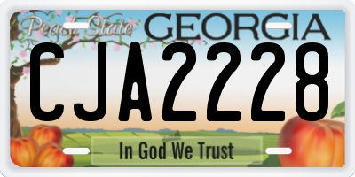GA license plate CJA2228