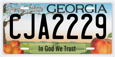 GA license plate CJA2229