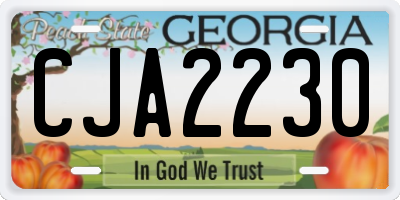 GA license plate CJA2230