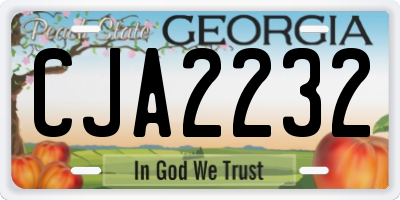 GA license plate CJA2232