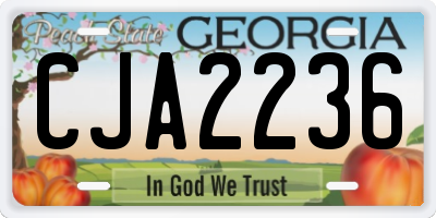 GA license plate CJA2236