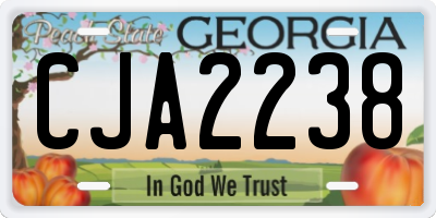 GA license plate CJA2238