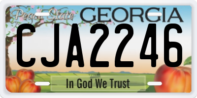 GA license plate CJA2246